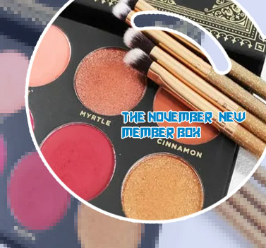 Makeup brush subscription box